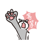 schnauzer's daily life（個別スタンプ：30）