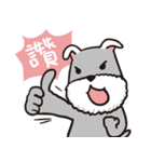 schnauzer's daily life（個別スタンプ：32）