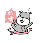 schnauzer's daily life（個別スタンプ：39）