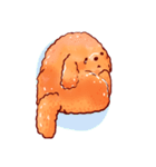 Teddy（個別スタンプ：37）