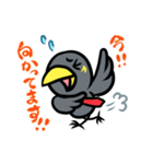 キューカン日和（個別スタンプ：24）