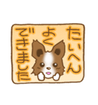 パピヨン 犬スタンプ（個別スタンプ：16）