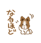 パピヨン 犬スタンプ（個別スタンプ：31）