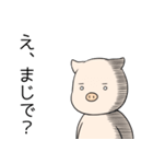 ぶーみんダイエット中（個別スタンプ：5）