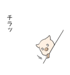 ぶーみんダイエット中（個別スタンプ：39）