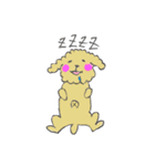 トイプードルのつーたん（個別スタンプ：3）