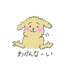 トイプードルのつーたん（個別スタンプ：4）