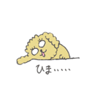 トイプードルのつーたん（個別スタンプ：10）