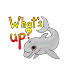 Dolphin Super Fun（個別スタンプ：30）