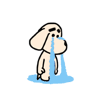 まろんくん（個別スタンプ：12）
