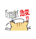 ナースにゃんこのお仕事（個別スタンプ：12）