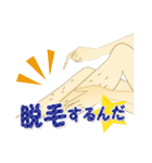 ビューティースタンプ（個別スタンプ：21）