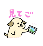 もふもふ静岡どうぶつ（個別スタンプ：24）