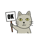 momo cat（個別スタンプ：1）