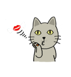 momo cat（個別スタンプ：5）