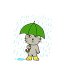 momo cat（個別スタンプ：8）