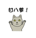 momo cat（個別スタンプ：9）