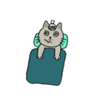 momo cat（個別スタンプ：10）