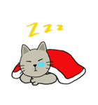 momo cat（個別スタンプ：14）