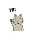 momo cat（個別スタンプ：17）