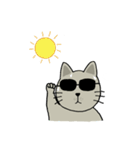 momo cat（個別スタンプ：24）