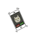 momo cat（個別スタンプ：25）