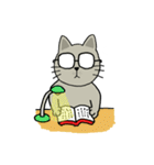 momo cat（個別スタンプ：29）