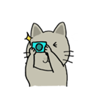 momo cat（個別スタンプ：34）