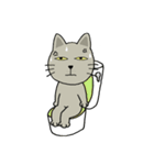 momo cat（個別スタンプ：35）