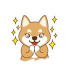 Shiba Inu - Gifaye's life（個別スタンプ：21）