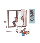 かまってシャムちゃんの付きまとい編（個別スタンプ：21）