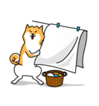 柴犬 元気 No.2 (家事ver.)（個別スタンプ：10）