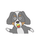 キャバリアのラブさん（個別スタンプ：19）