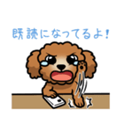 帰り待つトイプードル（個別スタンプ：24）