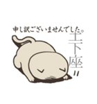 シロメ（個別スタンプ：11）