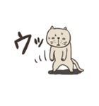 シロメ（個別スタンプ：36）