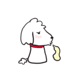 シロといぷー（個別スタンプ：18）