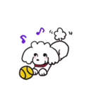 シロといぷー（個別スタンプ：20）