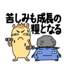応援します（個別スタンプ：17）