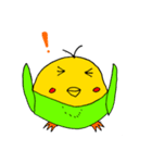 インコ丸と空と海の愉快な仲間たち（個別スタンプ：1）