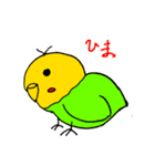 インコ丸と空と海の愉快な仲間たち（個別スタンプ：3）