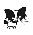 可愛い白黒パピヨン（個別スタンプ：31）