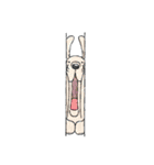 おかしな動物スタンプ（個別スタンプ：40）