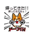 しつこい犬（個別スタンプ：17）