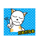 おかしい白猫のスタンプ（個別スタンプ：2）