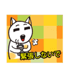 おかしい白猫のスタンプ（個別スタンプ：30）
