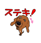 ダックしゅⅡ（個別スタンプ：16）