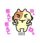 好奇心いっぱいのチャコ（個別スタンプ：1）