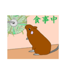 デグーあるある（個別スタンプ：17）