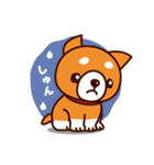 柴犬のしばちゃん（個別スタンプ：4）